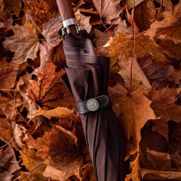 Elevate Your Autumn Style with Carl Dagg Umbrellas