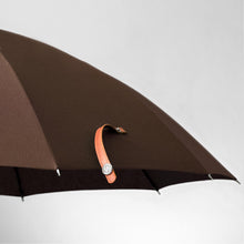 Dressy Umber Limited