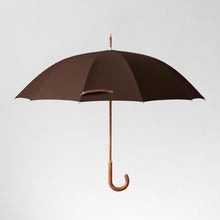 Dressy Umber Limited